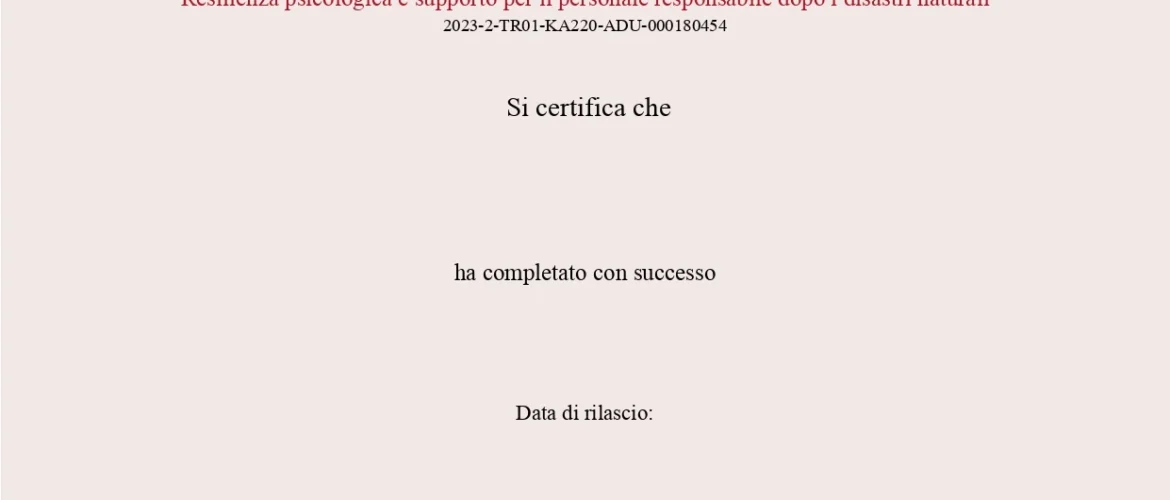 CERTIFICATE FINAL IT